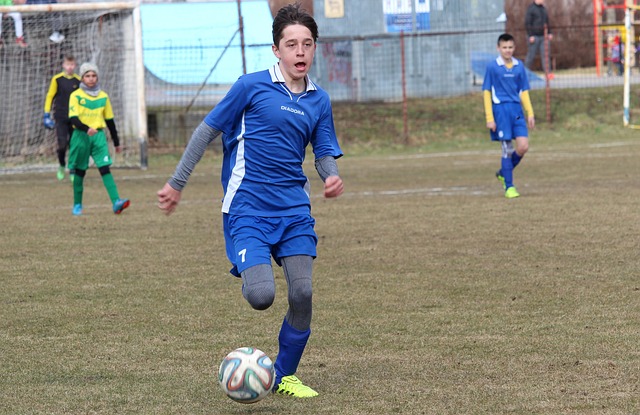 森林狼与太 森林狼与太