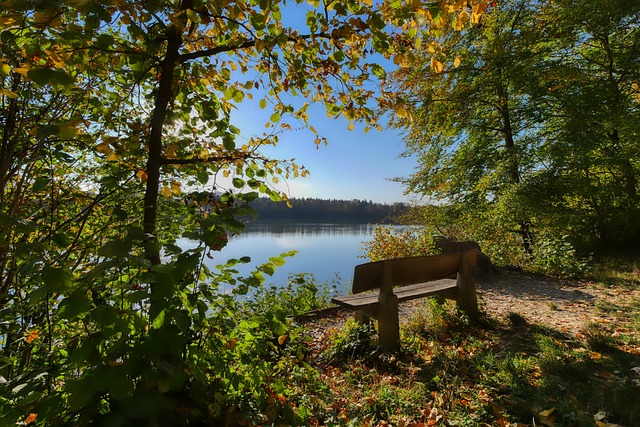 篮命中率上 篮命中率上