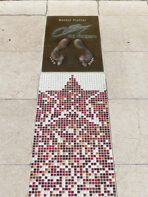 展现了体育 展现了体育