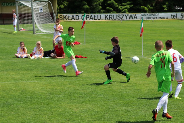 培养羽毛球 培养羽毛球