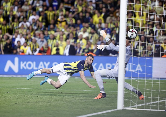 水排入大海 水排入大海