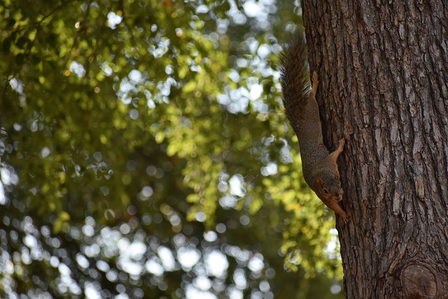 多特蒙德3500万报价桑乔 多特满意桑乔最近表现.